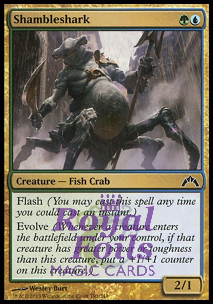 Shambleshark 4x FOIL GTC MTG Gatecrash Common MINT green blue