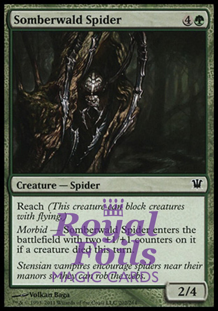 **4x FOIL Somberwald Spider** ISD MTG Innistrad Common MINT green