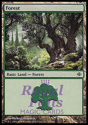 Forest #249 2x FOIL ALA MTG Shards of Alara MINT basic land