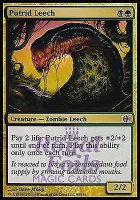 **4x FOIL Putrid Leech** ARB MTG Alara Reborn Common VF black green