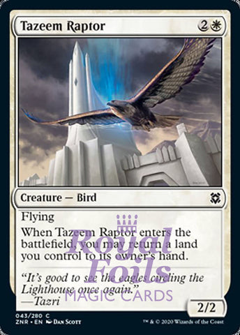 **4x FOIL Tazeem Raptor** ZNR MTG Zendikar Rising Common MINT white