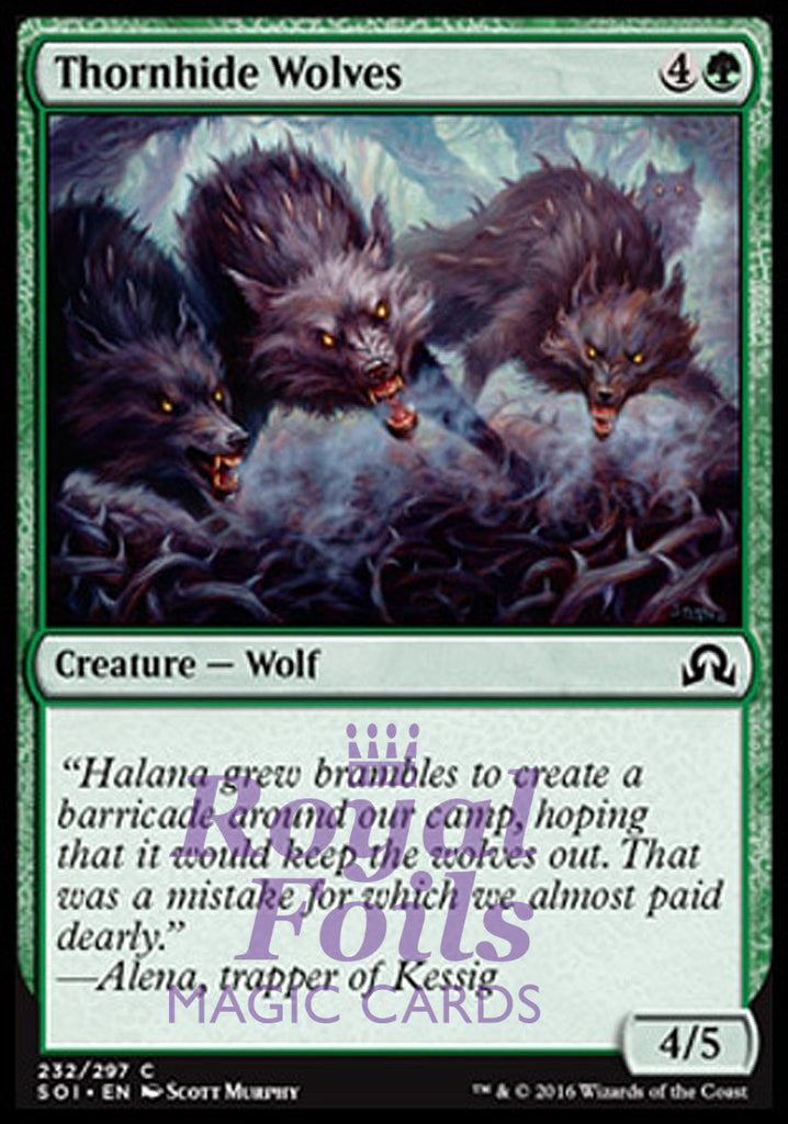 **4x FOIL Thornhide Wolves** SOI MTG Shadows Over Innistrad Common MINT green