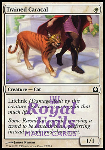 Trained Caracal 4x FOIL RTR MTG Return to Ravnica Common MINT white