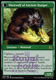 **1x FOIL Sage of Ancient Lore // Werewolf of Ancient Hunger** SOI MTG Shadows Over Innistrad Rare NM+ green