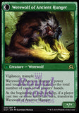 Sage of Ancient Lore // Werewolf of Ancient Hunger 1x FOIL SOI MTG Shadows Over Innistrad Rare MINT green