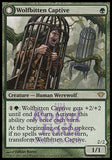 **1x FOIL Wolfbitten Captive // Krallenhorde Killer** DKA MTG Dark Ascension Rare NM- green