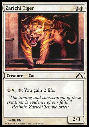 **4x FOIL Zarichi Tiger** GTC MTG Gatecrash Common MINT white