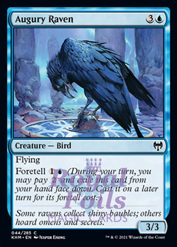 Augury Raven 4x FOIL KHM MTG Kaldheim Common MINT blue