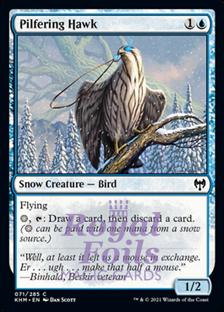 Pilfering Hawk 4x FOIL KHM MTG Kaldheim Common MINT blue