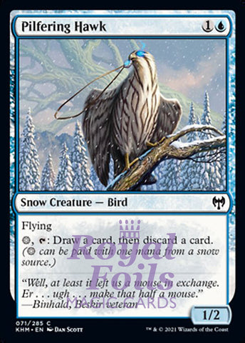 Pilfering Hawk 4x FOIL KHM MTG Kaldheim Common MINT blue